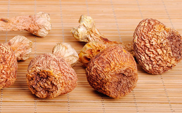 有机姬松茸的栽培技术